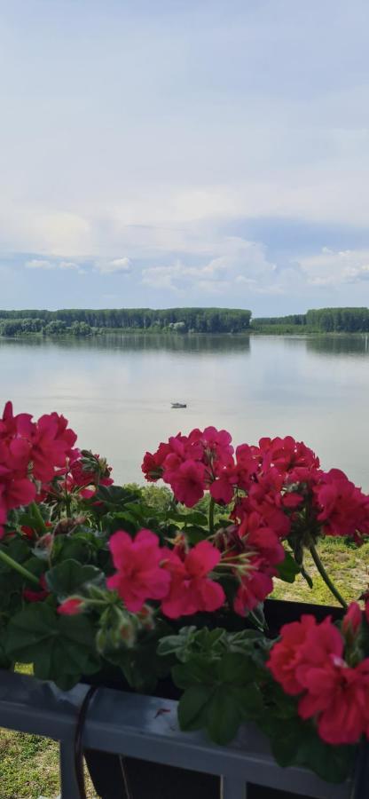 Къща За Гости Ненийски Lom Esterno foto